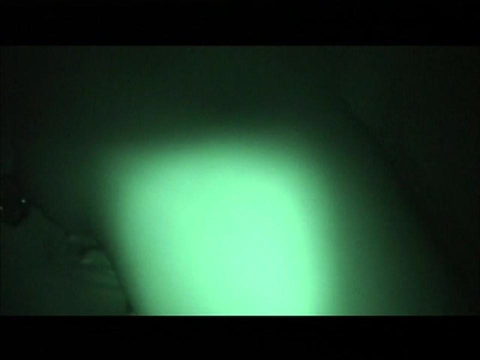 Evilution 3 (2 DVDs) サンプル画像