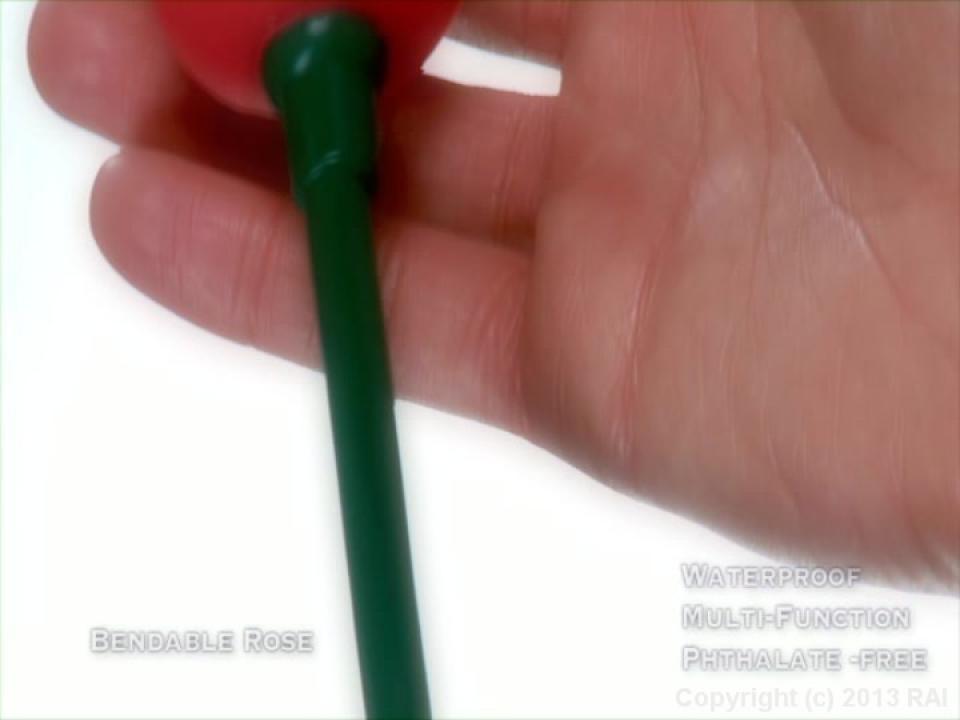 Dr. Ava's Guide To Anal Sex For Women サンプル画像40