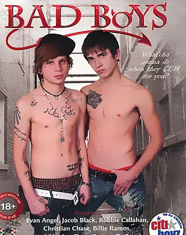 Bad Boysダウンロード