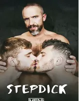 ステップディック
