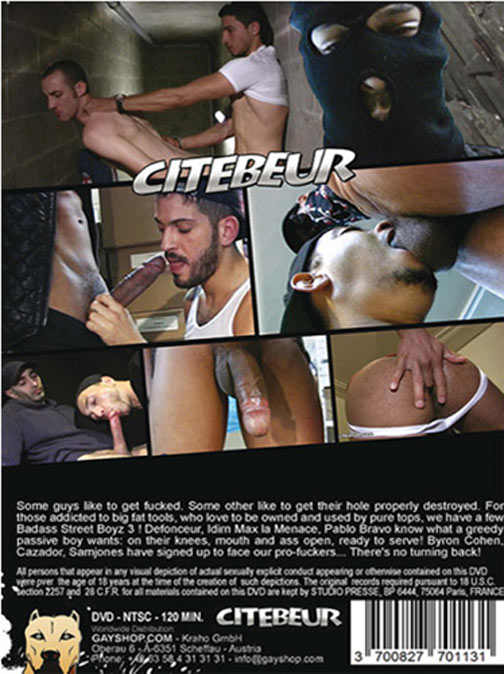 Street Boyz 3 (Les Bonhommes 3) サンプル画像