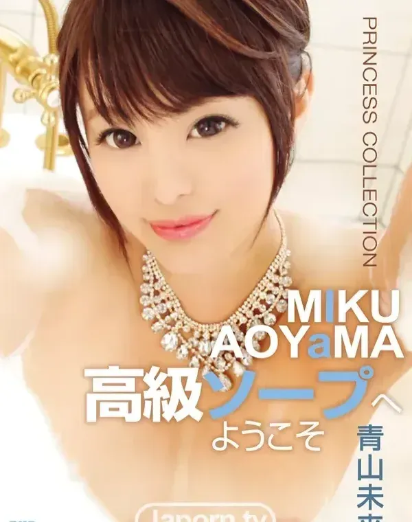 PRINCESS COLLECTION 高級ソープへようこそ : 青山未来ダウンロード