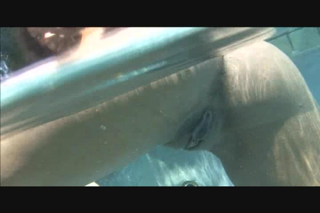 All Dat Azz 39 サンプル画像26