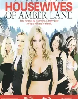 ハウスワイフズ オブ アンバー レーン (ブルーレイディスク版)