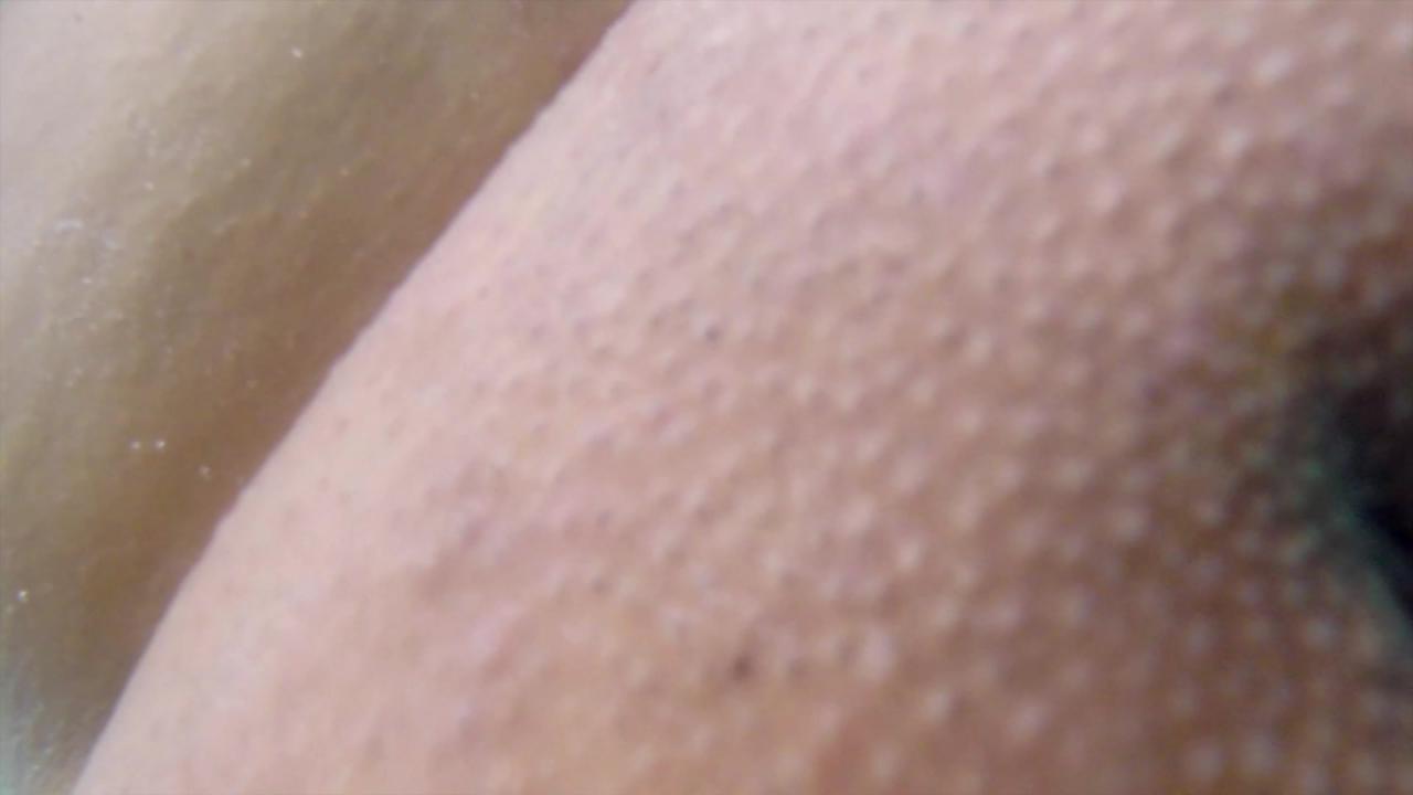Cat Bangles サンプル画像28