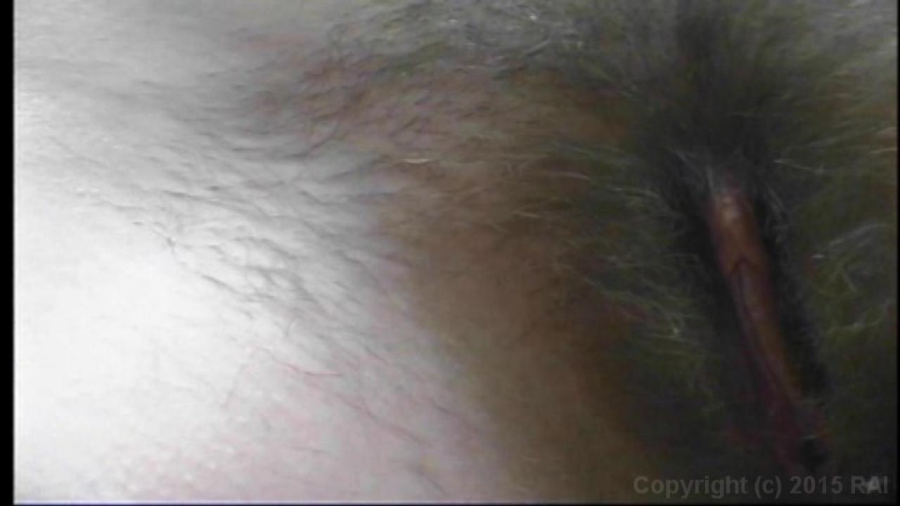 Damn, You're Hairy 3 サンプル画像