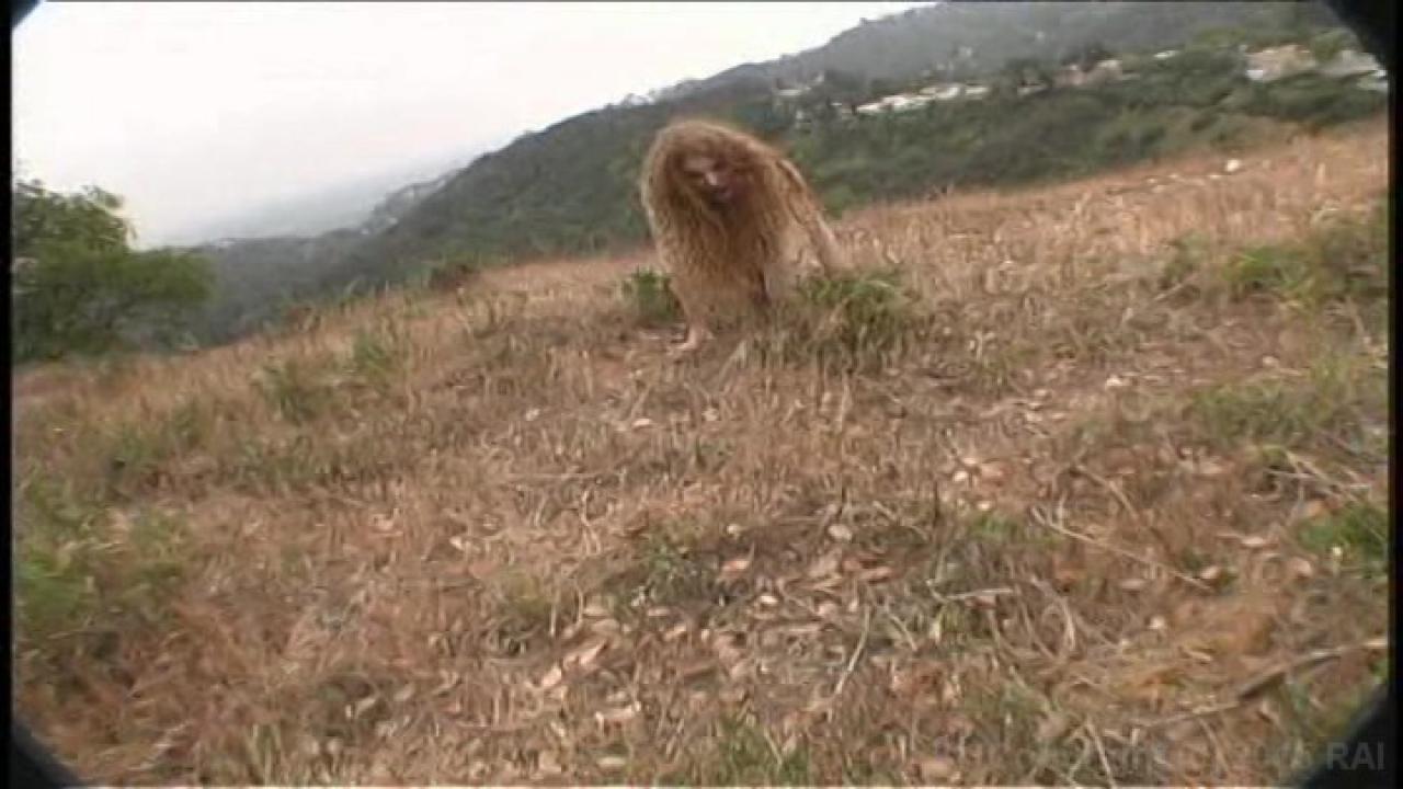 Damn, You're Hairy 3 サンプル画像