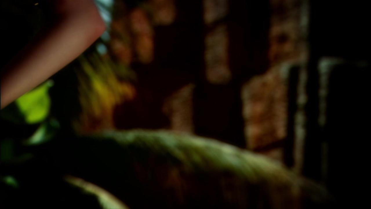 Island Fever 4 (HD DVD) サンプル画像137