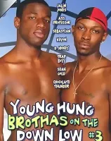 Young Hung Brothas on The Down Low 3