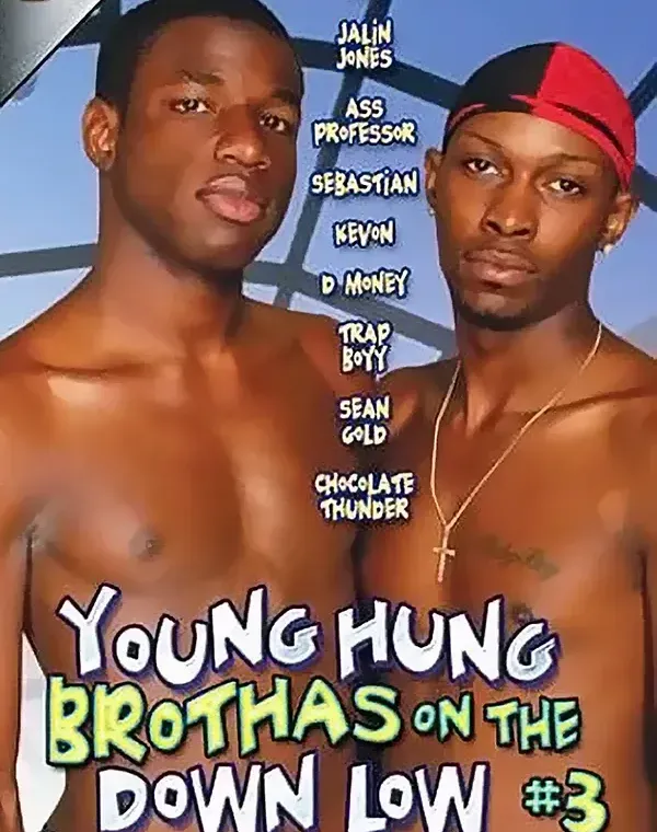 Young Hung Brothas on The Down Low 3ダウンロード