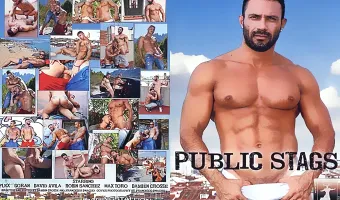 Public Stags