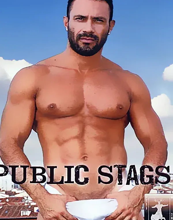 Public Stagsダウンロード