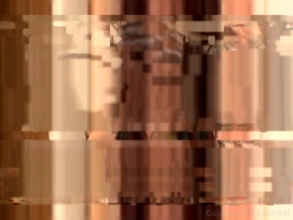 Swallow This 15 サンプル画像25