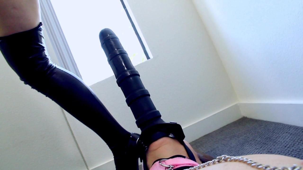 Pussy Whipped サンプル画像