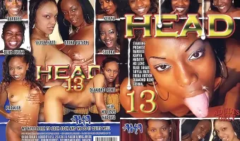 Head 13