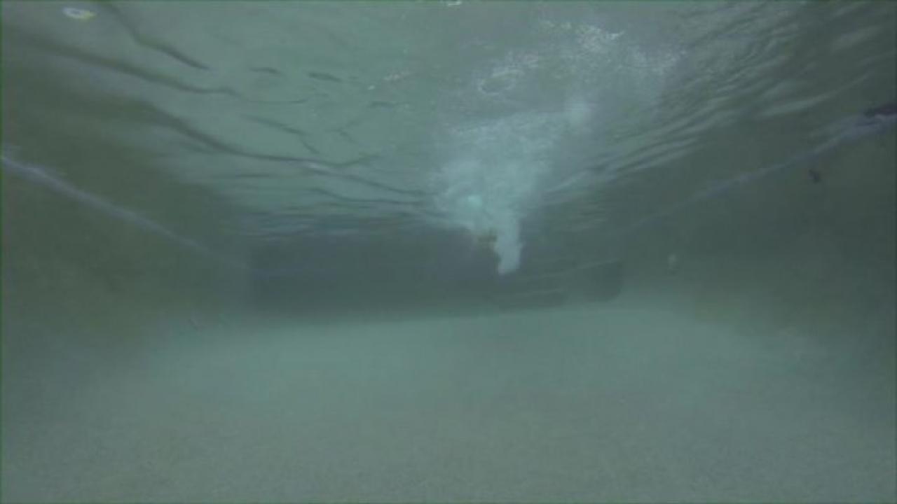Water World Underwater Sex 3 サンプル画像