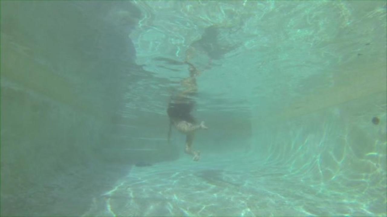 Water World Underwater Sex 3 サンプル画像