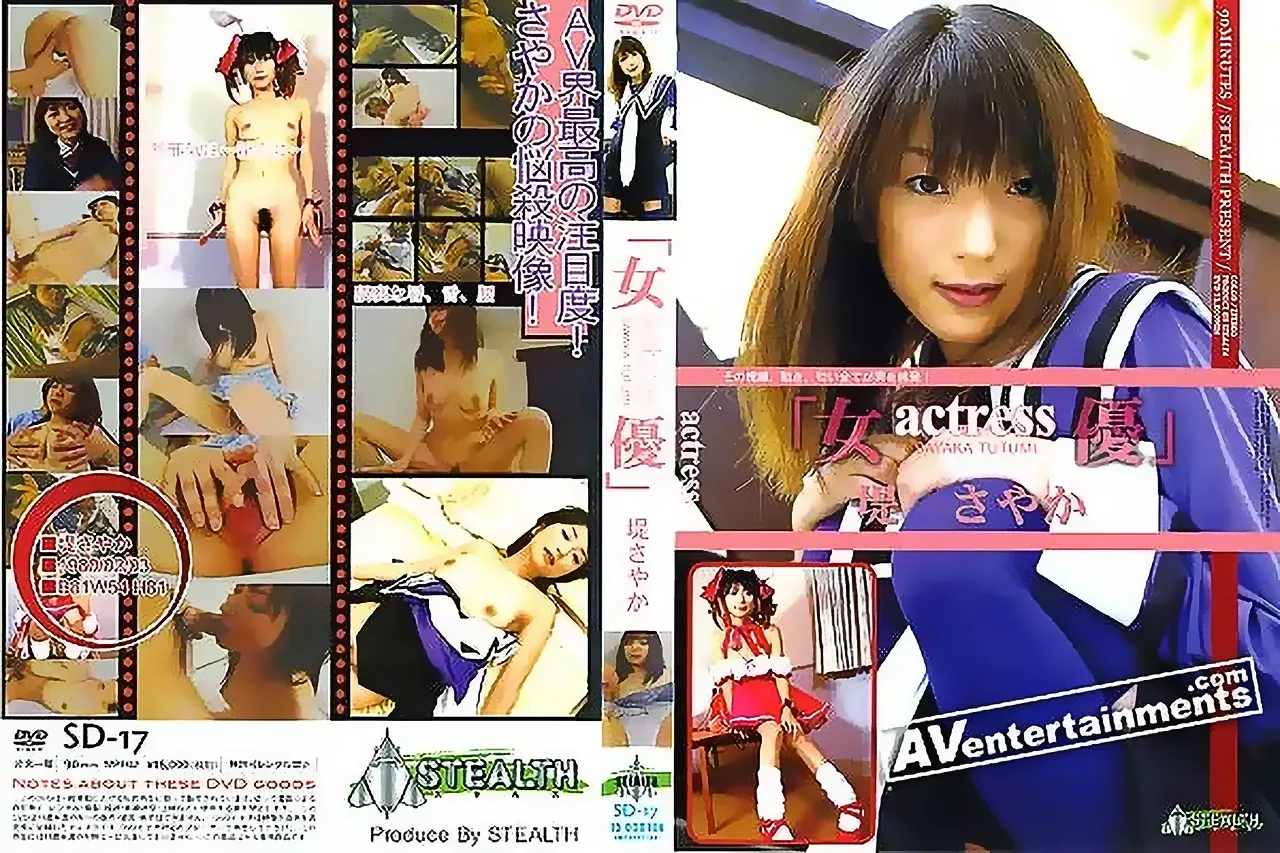 Stealth Series Vol. 17 女優-actress-堤さやか - 裏DVD・無修正DVD・ストリーミング エロ動画 裏DVDオアシス