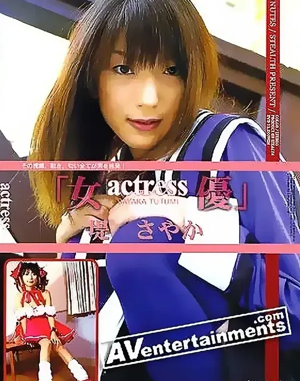 Stealth Series Vol. 17 女優-actress-堤さやかダウンロード