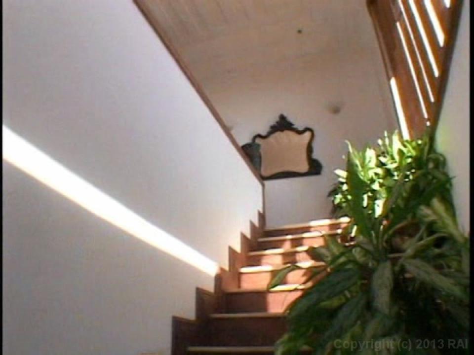 タコス サンプル画像40