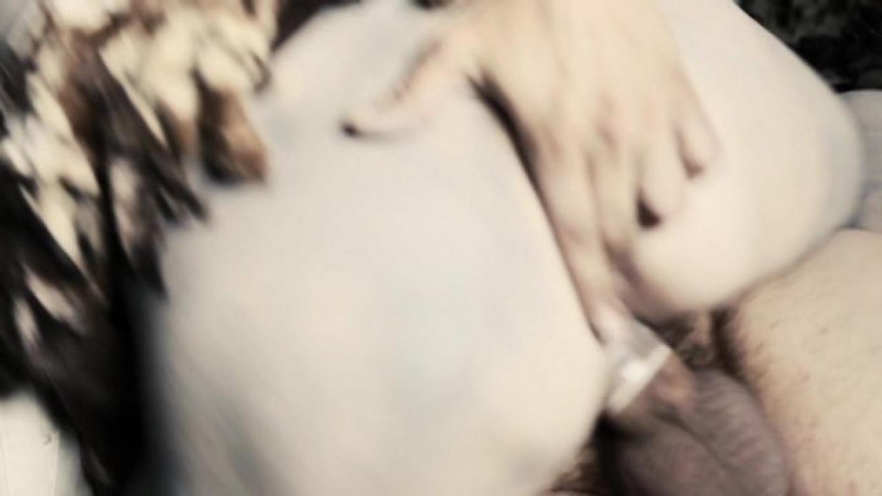 Pornocopia (2 DVD Set) サンプル画像5