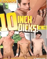10 インチ ディックス (2枚組)