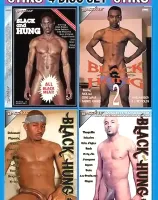 4 Pk Black & Hung (4 DVD Set)