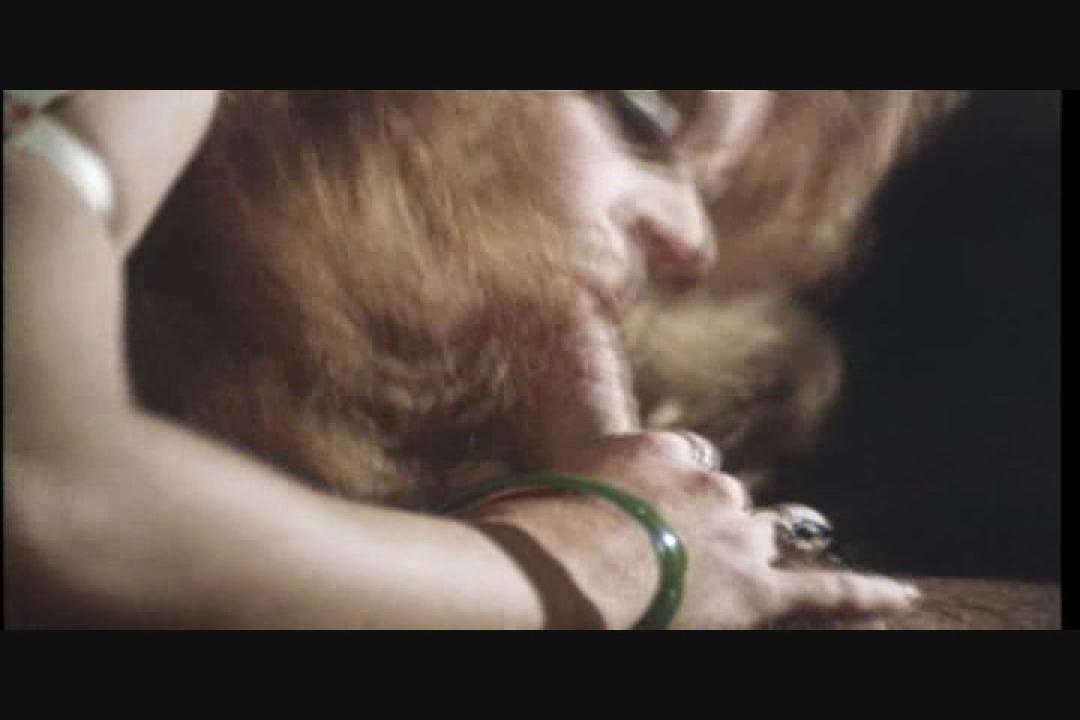 Every Which Way She Can サンプル画像37