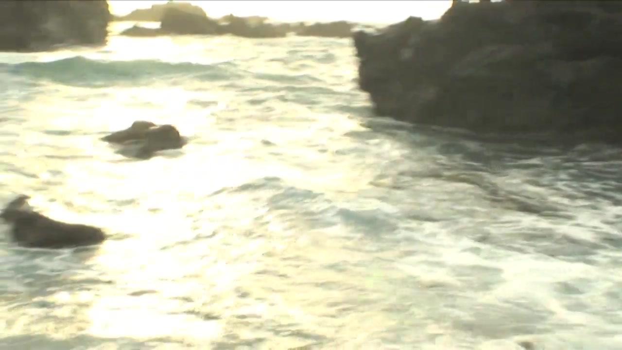 Teradise Island 2　(Blu-ray) サンプル画像