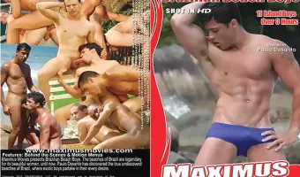 Brazilian Beach Boys
