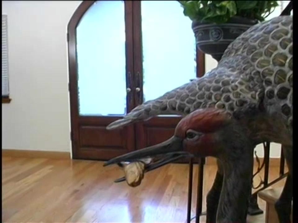 Anal Drilling サンプル画像
