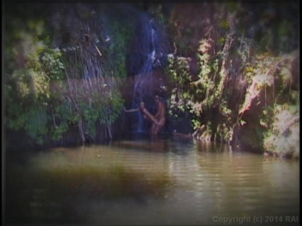 Island Fever 1 サンプル画像11