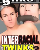 インターレイシャル トゥインクス Vol.2 (5時間 DVD)