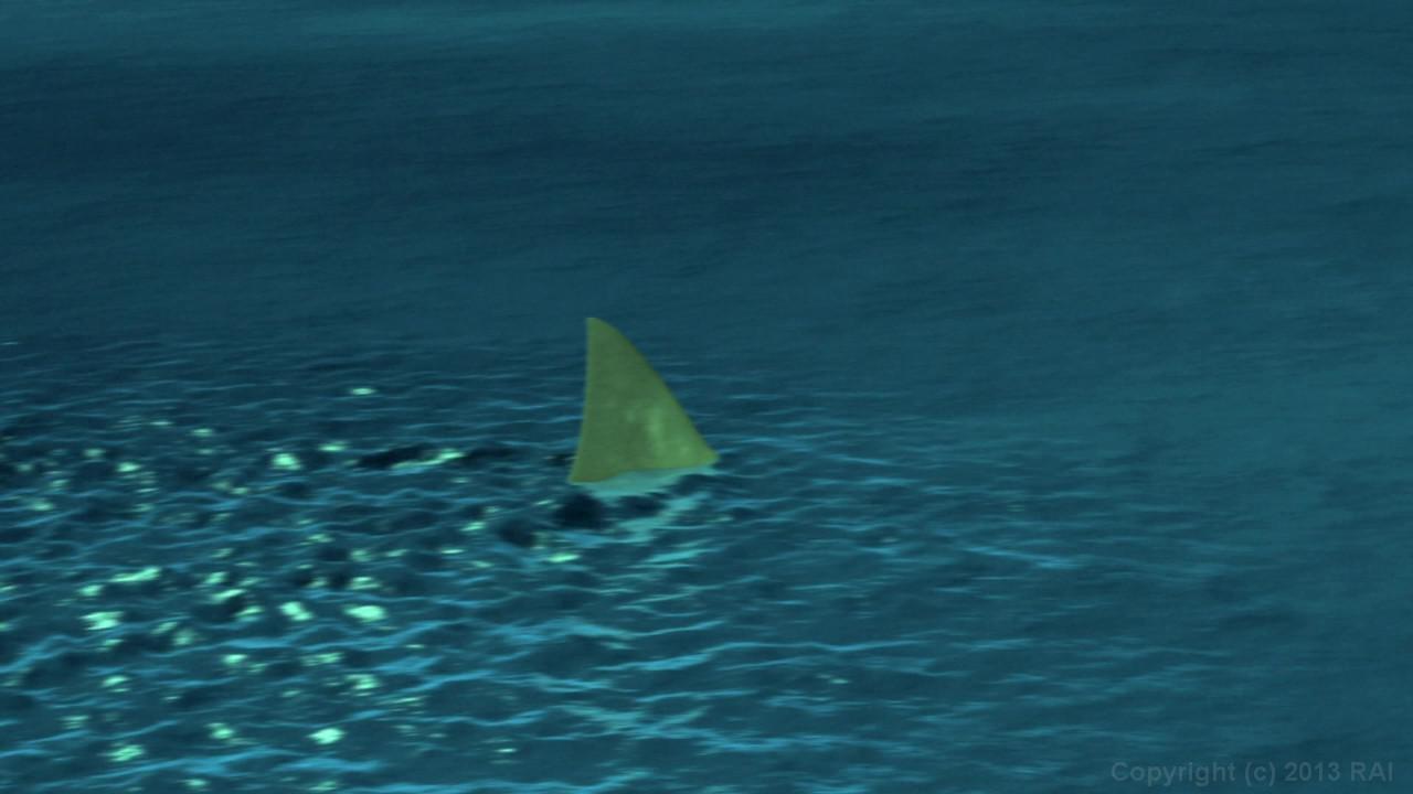This Ain't Jaws XXX (2D + 3D) (2 DVD Set) サンプル画像