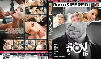 Rocco's Point Of View 16
