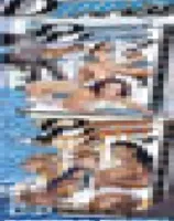 ダブル ディップド 1-4 (4 DVDセット)