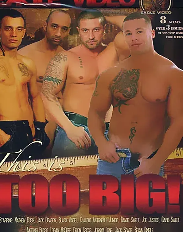 Too Bigダウンロード
