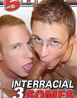 インターレイシャル スリーサムズ (5時間 DVD)