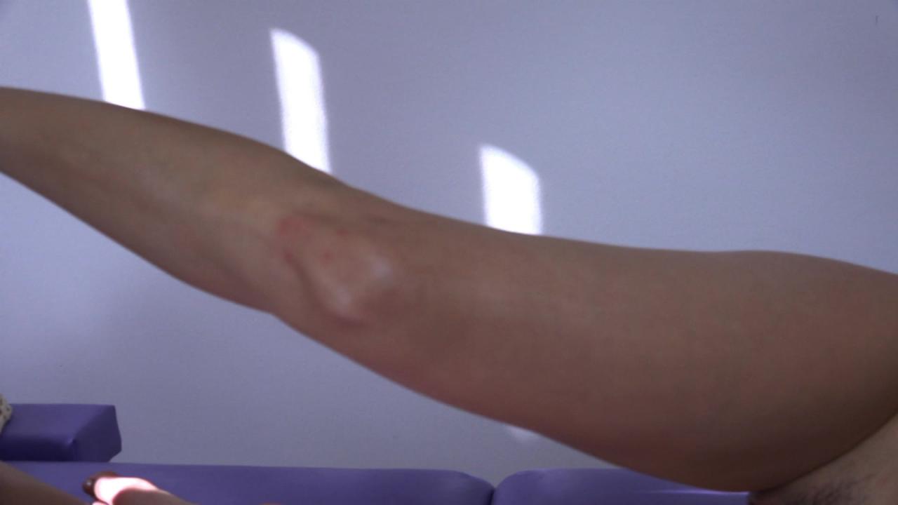 Darcie Dolce's Manipulative Massage サンプル画像25