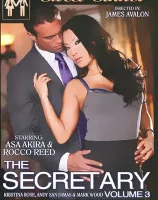 The Secretary 3
