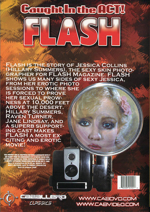 Flash サンプル画像