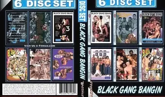 6 Pk Black Gang Bangin (6 DVD Set)