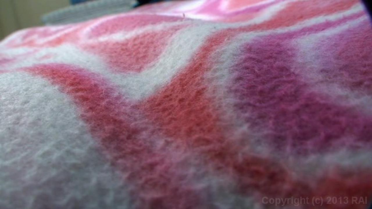 Barely Legal POV 10 サンプル画像25