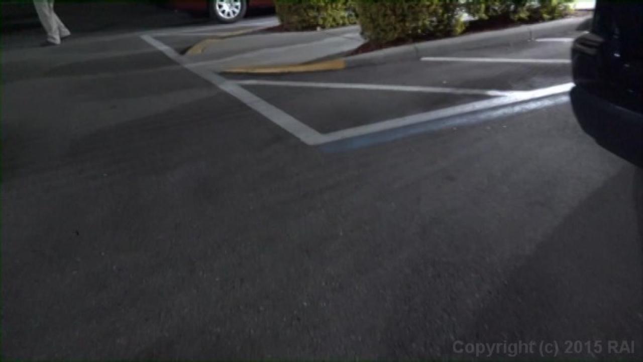 Naughty Alysha's: I Fuck My Fans 8 サンプル画像