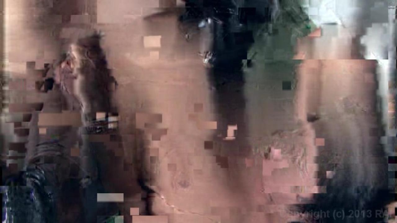It's A Tranny World サンプル画像1