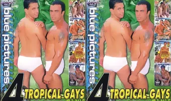 Tropical Gays 4 Pack (4 DVDSet)