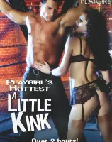 プレイガールズ ホッテスト： Little Kink