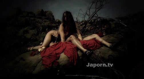 The Four Collector's Edition (2 DVD Set) サンプル画像1
