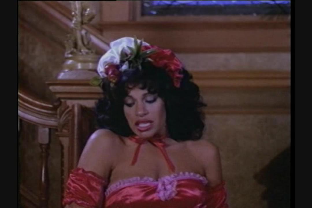 Vanessa Del Rio And Friends (4 DVD Set) サンプル画像