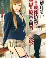 超お宝映像炸裂！地獄＆歓喜の同時二穴攻め！ : 葉月るい